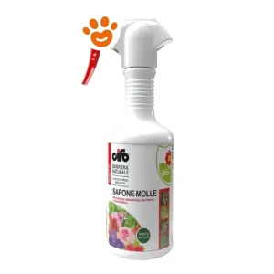 Cifo Olio di Lino Nebulizzatore