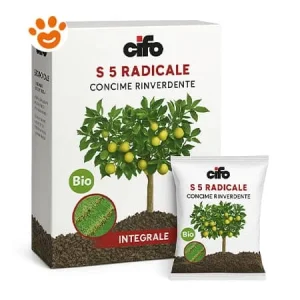 Cifo S 5 Radicale