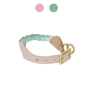 Collare cane in corda - Sorbetto