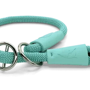 Collare Da Addestramento Regular Touch Aquamarine per Cani