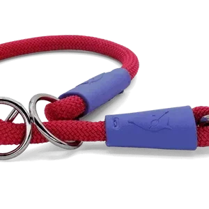 Collare Da Addestramento Regular Touch Red Velvet per Cani