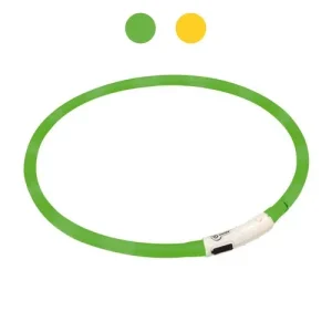 Collare LED USB luminoso per cani