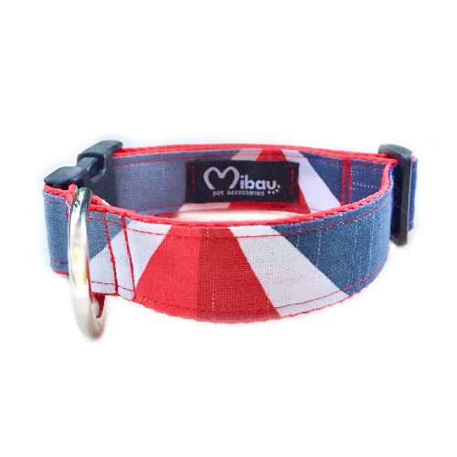 Collare Prisma Red