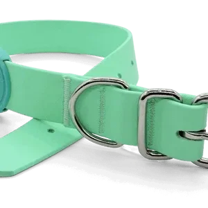 Collare Waterproof Caribbean Green per Cani