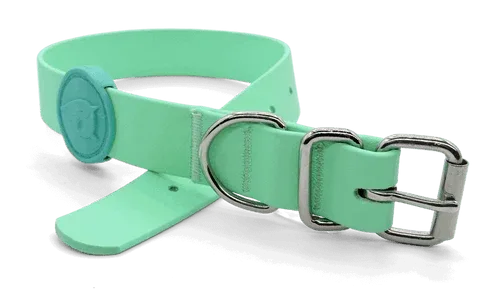 Collare Waterproof Caribbean Green per Cani