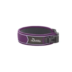 Collari Divo Viola e Grigio