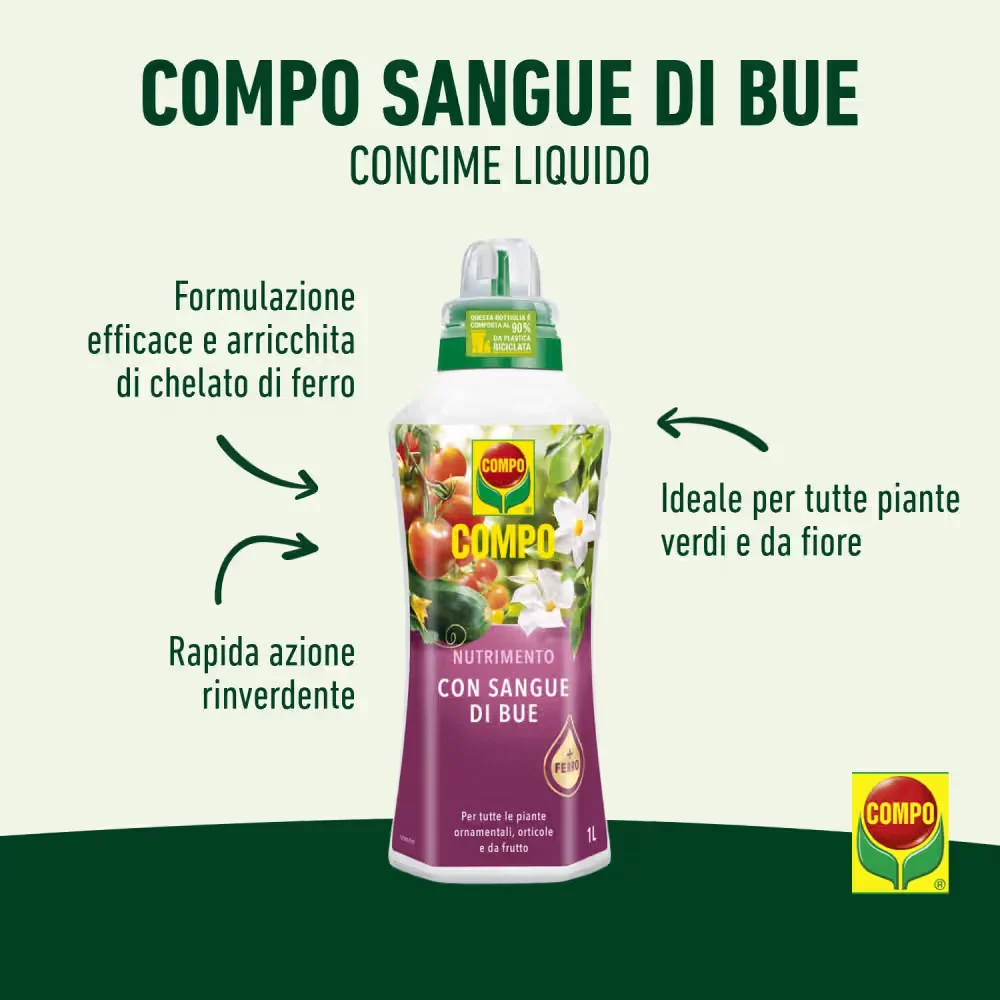 Compo Nutrimento Sangue di Bue - Image 2