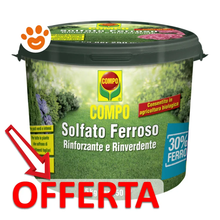 Compo Solfato Ferroso - Image 2