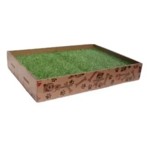 Cuccia per Cani da Interno Ecologica in Cartone Natura Comoda