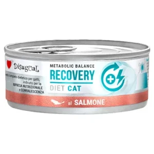 DISUGUAL Cat Recovery Patè al Salmone 85gr