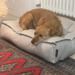 Dog Bed Elegance – Materasso Ortopedico Luxury Made in Italy