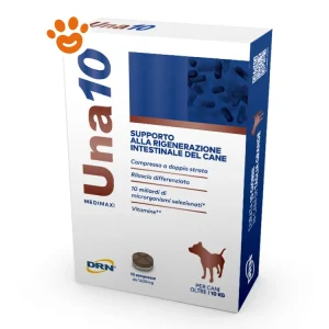 DRN Dog Una10 Medimaxi