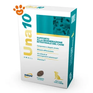 DRN Dog Una10 Small