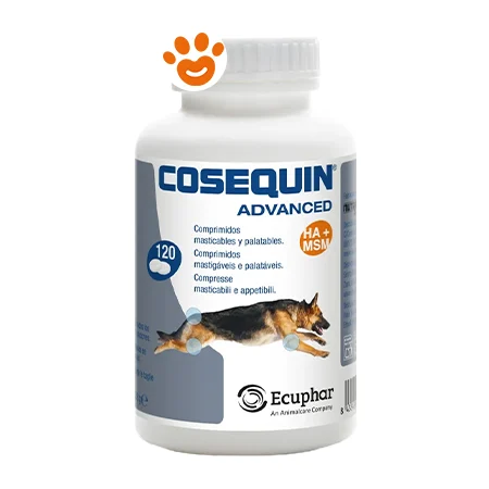 Ecuphar Dog Cosequin Advanced - Image 2
