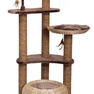 ESTACA DELL'ALBERO DEL GATTO