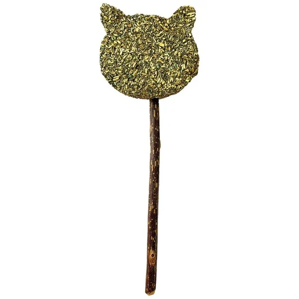 Euphoria stick cat