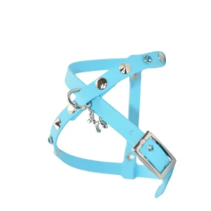 Fancy Harness