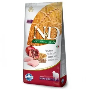 Farmina N&amp;D cane Ancestral Pollo e Melograno Adult Maxi Giant Kg 12