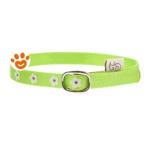 Ferribiella Cat Collare Flower Verde