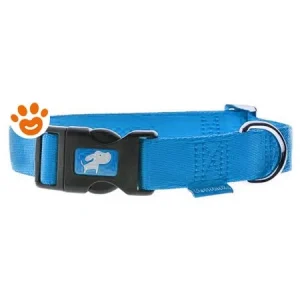 Ferribiella Collare Aggiustabile in Nylon Azzurro (10×20-35cm)