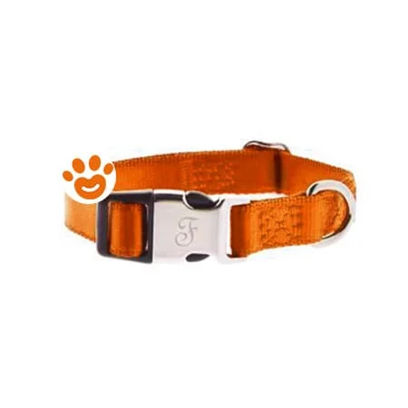 Ferribiella Dog Collare Regolabile Nylon (10×20-35 cm) - Image 2
