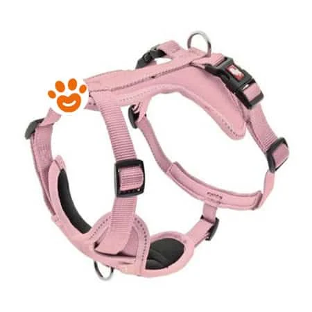 Ferribiella Dog Pettorina Cesare Rosa