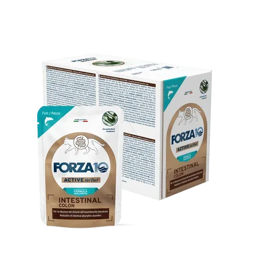 Forza 10 Gatto Intestinal Colon - Pesce