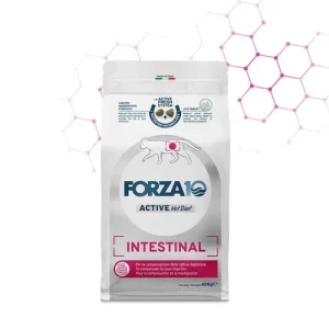 Forza 10 Intestinal Adult