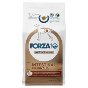 FORZA10 Cane Intestinal Colon Fase 2