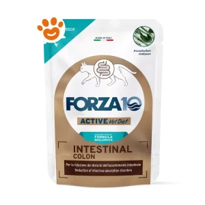 Forza10 Cat Active Intestinal Colon in Patè