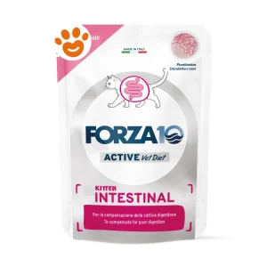Forza10 Cat Active Intestinal Kitten Maiale in Patè