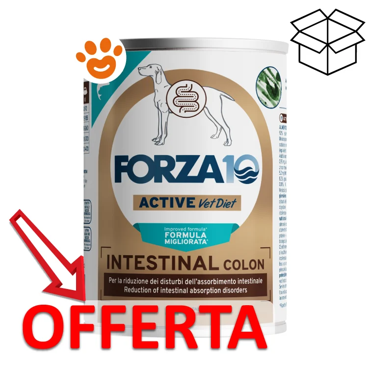 Forza10 Dog Intestinal Colon Active Agnello - Image 2