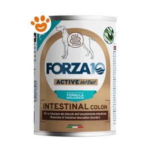 Forza10 Dog Intestinal Colon Active Agnello