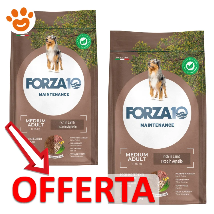 Forza10 Dog Maintenance Medium Maintenance Agnello e Riso - Image 2