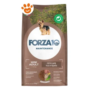 Forza10 Dog Maintenance Mini Adult Agnello e Riso