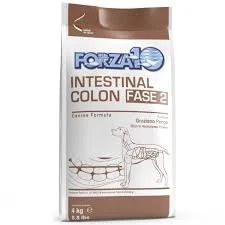 FORZA10 Intestinal Colon Fase 2 - Image 2