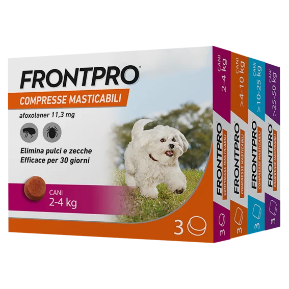FRONTPRO Compresse - Image 2