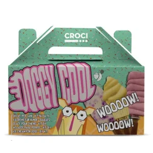 Gelato per cani in kit con stampi - Doggy Cool Kit