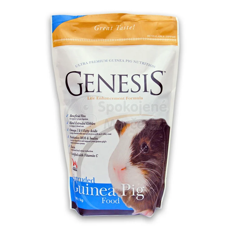 Genesis Guinea Pig