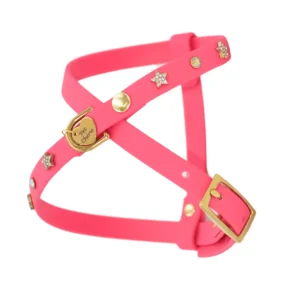 Glittering Harness