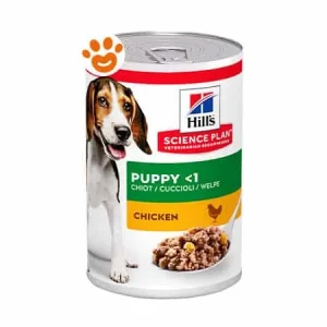 Hill’s Dog Science Plan Puppy con Pollo