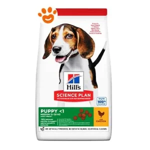 Hill’s Dog Science Plan Puppy Medium Pollo