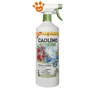 I Consigli dell’Esperto Caolino Pronto Uso