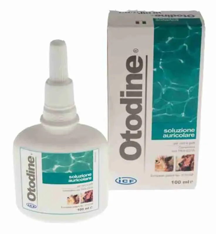 ICF OTODINE 100 ML.