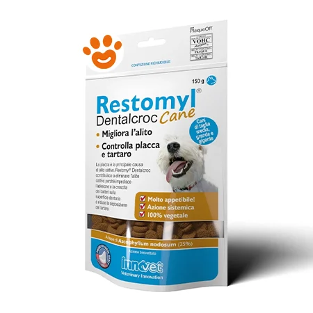Innovet Dog Restomyl Dentalcroc - Image 2