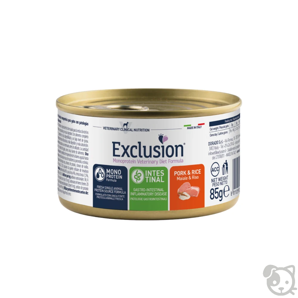 Intestinal Exclusion Gatto - Image 2