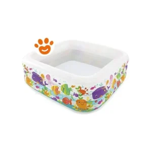 Intex Piscina Acquario (159x159x50cm) Art. 57471