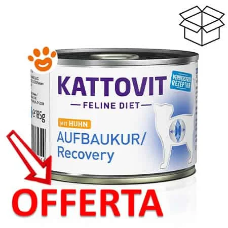 Kattovit Cat Recovery Pollo - Image 2