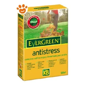 KB Evergreen Concime Prato Antistress