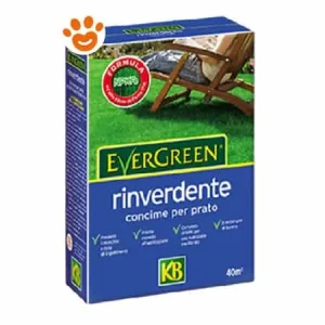 KB Evergreen Concime Prato Rinverdente